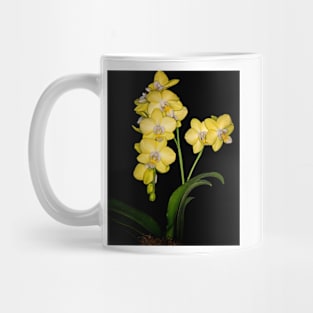 Yellow Mini Orchid Mug